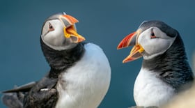 bob-brewer-GSRAjdoELP4-unsplash
