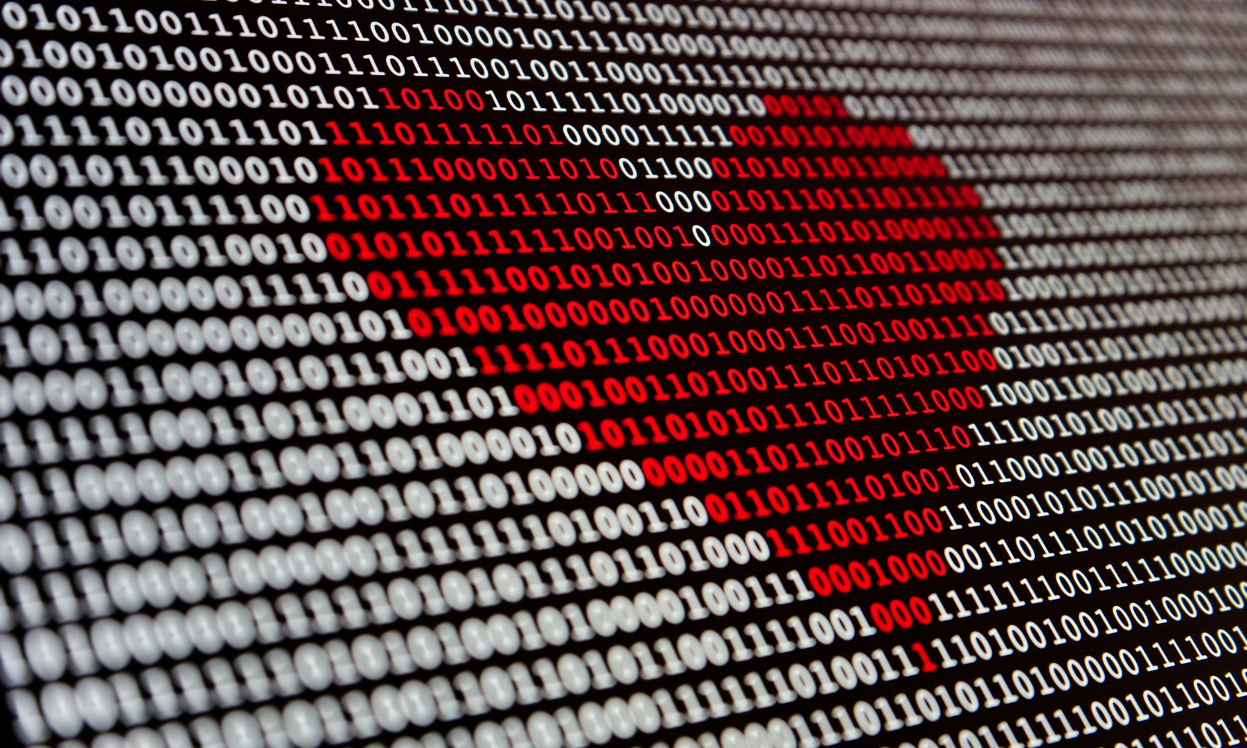 Aus Datenflut wird Entscheidungskraft